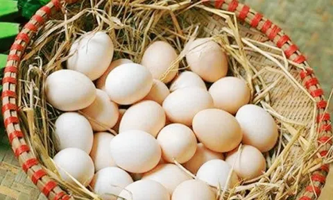 Thực hư loại trứng gà ‘lạ’ gây bão mạng