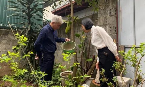 Sốt xuất huyết có dấu hiệu gia tăng tại Hà Nội