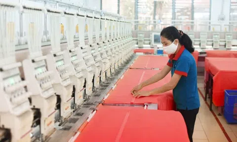Thua lỗ 6 năm liên tiếp, âm vốn gần 80 tỷ: Doanh nghiệp dệt may 40 năm tuổi phải tạm ngừng hoạt động sản xuất gia công