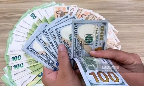 Tự ý mua, bán USD sẽ bị phạt đến 100 triệu đồng