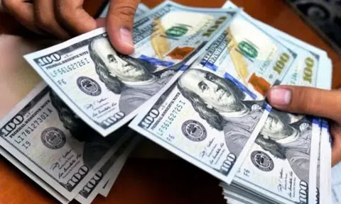 NHNN đề xuất phạt nặng hành vi mua bán ngoại tệ trái pháp luật