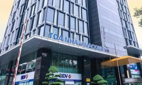 Vinaconex sắp chi gần 479 tỷ đồng trả cổ tức năm 2024