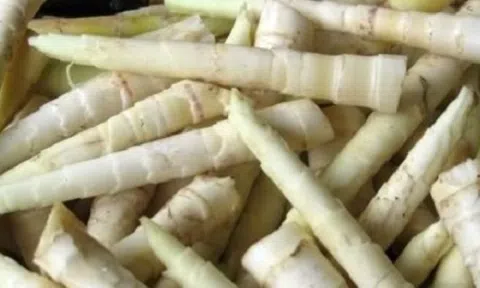 Đặc sản Tây Nguyên xưa không ai biết, giờ nổi tiếng khắp nơi nhờ hương vị lạ: Giá cao ngất, khách sành ăn săn lùng