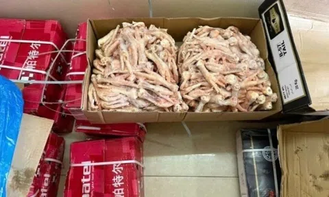 Chặn đứng hơn 3 tạ tim lợn, đuôi bò, chân gà đông lạnh không rõ nguồn gốc tại thành phố Thái Bình