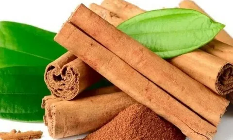 Hàng nghìn tấn vỏ cây quý từ Indonesia vừa đổ bộ Việt Nam: Tiếp sức cho ngành xuất khẩu 'tỏa sáng' trên bản đồ thế giới