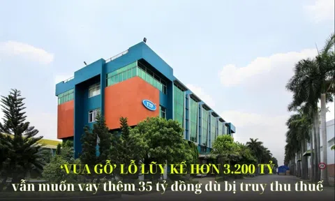 ‘Vua gỗ’ lỗ lũy kế hơn 3.200 tỷ, nợ vay vượt 130% vốn, vẫn muốn vay thêm 35 tỷ đồng dù bị truy thu thuế