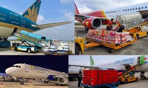 Một hãng bay mới của Việt Nam chi gần 100 triệu USD, chính thức bước vào cuộc chơi cùng Vietnam Airlines và Vietjet