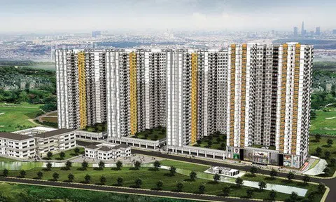 Nhóm CII tăng sở hữu lên 74,92% vốn điều lệ tại Năm Bảy Bảy