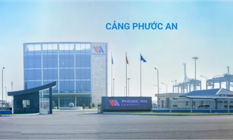 Cảng Phước An (PAP) bị xử phạt vì công bố sai thông tin và giao dịch “mờ ám”