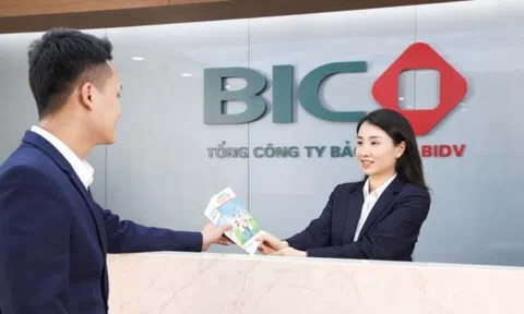 Bảo hiểm BIC bổ nhiệm 'bộ đôi' Chủ tịch và Tổng Giám đốc