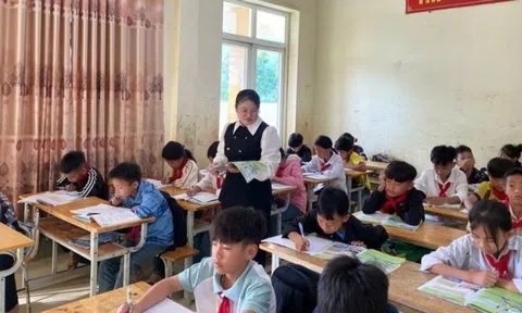 1 tỉnh chi hơn 14 tỷ để thực hiện chế độ đối với giáo viên hợp đồng
