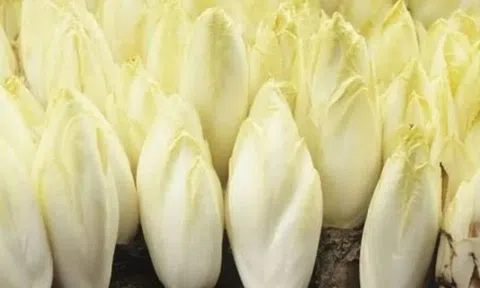 U60 chọn bán loại rau đắt ngang thịt, hái đến đâu đắt hàng đến đó, nhẹ nhàng bỏ túi 171 tỷ/năm