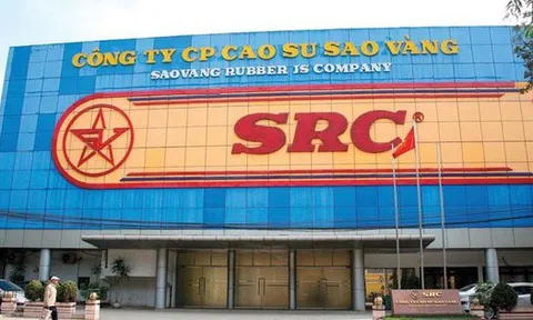Cao su Sao Vàng chốt ngày trả cổ tức 2024 bằng tiền, Tập đoàn Hoành Sơn nhận về bao nhiêu?