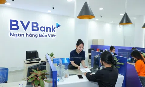 BVBank (BVB) chào bán 20 triệu cổ phiếu ESOP, giá rẻ hơn 25% so với thị giá