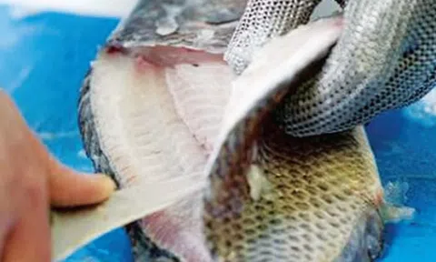 Loại cá xưa đầy 'chẳng ai thèm', nay phơi khô thành đặc sản 200.000 đồng/kg, xuất ngoại đều đều