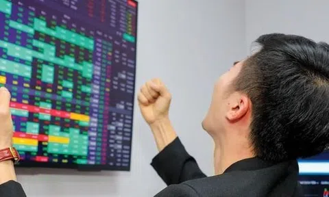 Một công ty hàng hải chốt ngày trả cổ tức tiền mặt tỷ lệ 41%
