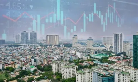 Cổ phiếu bất động sản nổi sóng, Novaland tăng kịch trần “trắng bên bán”, điều gì đang xảy ra?