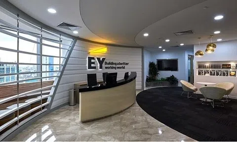 Một công ty kiểm toán trong Big 4 báo lãi chưa tới 500 triệu đồng, giảm 94%, thuế TNDN phải nộp bằng 0