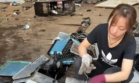 Nữ bác sĩ đạt tự do tài chính nhờ... buôn đồng nát