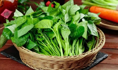 Loại rau từng dùng chống đói nay lại là ‘nhân sâm của người nghèo’: Giá chỉ 25.000 đồng/kg, được bán bạt ngàn ngoài chợ