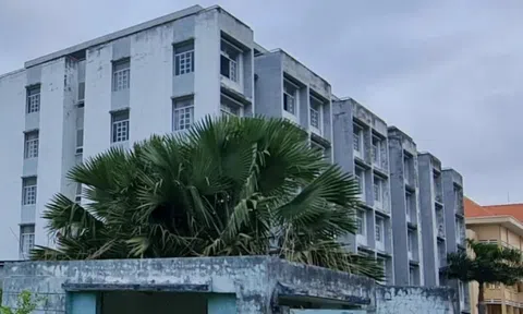 Bạc Liêu: Sẽ chuyển đổi công năng 2 tòa nhà sinh viên thành nhà ở xã hội