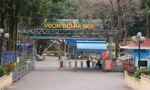 Là vườn thú duy nhất tại Hà Nội, Thủ Lệ 'hốt bạc' gần 48 tỷ nhờ bán vé vào cổng