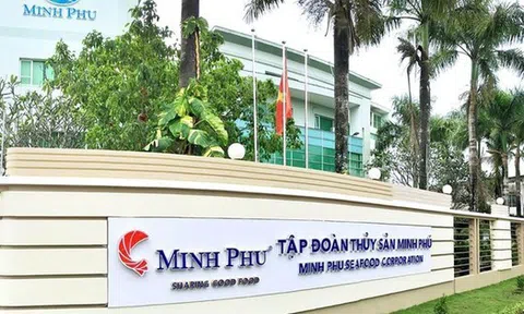 Thủy sản Minh Phú kỳ vọng có lãi trở lại trong năm 2025, con gái Chủ tịch được đề cử vào HĐQT