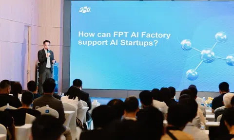 Xây nền, Nối lực: Điều AI Startup Việt cần cho một tương lai bền vững