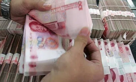 Xem trộm danh mục quỹ, nhân viên công ty chứng khoán "phím hàng" cho em vợ giao dịch cổ phiếu: Phạt và tịch thu hàng tỷ đồng