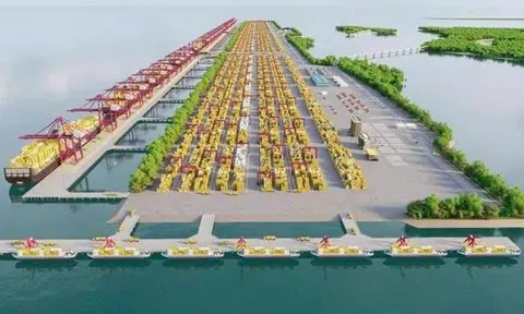 TPHCM đề xuất cơ chế đặc thù giữ chân nhà đầu tư chiến lược cho siêu cảng Cần Giờ