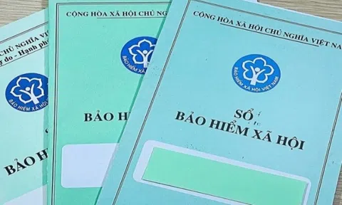 Từ 1/7/2025: 6 trường hợp phải tham gia bảo hiểm xã hội bắt buộc