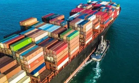 Ngành hàng của Việt Nam số 2 Đông Nam Á, top 15 thế giới về xuất khẩu đang thúc đẩy tái cấu trúc mạnh mẽ để thích ứng thị trường khó tính