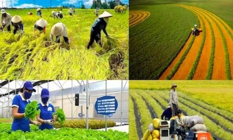 Thị trường tỷ dân nghiện thứ gì từ Việt Nam đến mức chiếm 99,8% lượng mua?