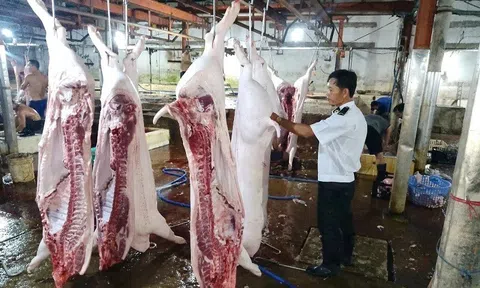 Lộ sai phạm kiểm soát tại lò mổ heo cho Công ty C.P Việt Nam
