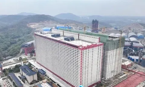 Đề xuất xây 'chung cư' cho... lợn