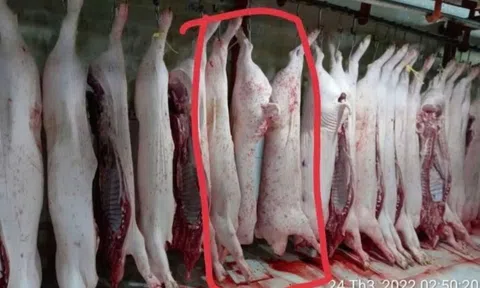 Vụ C.P. Việt Nam bị tố cáo bán thịt heo bệnh: Bộ Công an chính thức vào cuộc