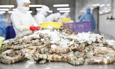 Bất ngờ về thủy sản Việt Nam xuất khẩu