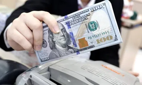 Lưu ý: Những điều cần biết về giao dịch USD tại Việt Nam để vừa có lợi lại không bị phạt nặng