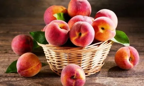 Nông dân các tỉnh miền núi phía Bắc trúng đậm trái 'vàng mùa hè', chị em đổ xô săn lùng với mức giá chỉ từ 15.000 đồng/kg