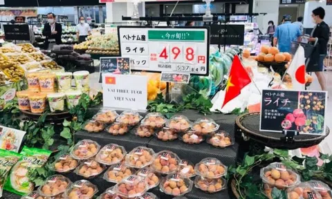 Việt Nam đang vào mùa loại quả ngọt lịm, giá rẻ bèo ở chợ quê, lên kệ Nhật bán hơn 300.000 đồng/kg