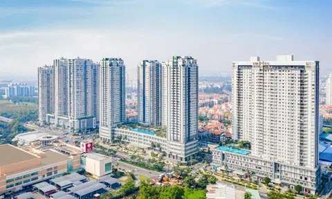 Novaland xin ý kiến trái chủ tái cấu trúc gói trái phiếu 1.300 tỉ đồng