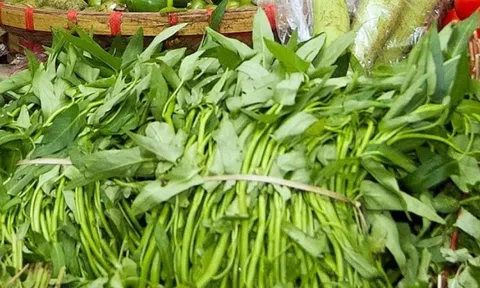 Loại rau ở Việt Nam rẻ như cho được ví như siêu thực phẩm xanh, sang nước ngoài đắt đỏ, phải đếm từng cọng