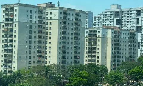 Trái chiều dự báo diễn biến giá chung cư Hà Nội