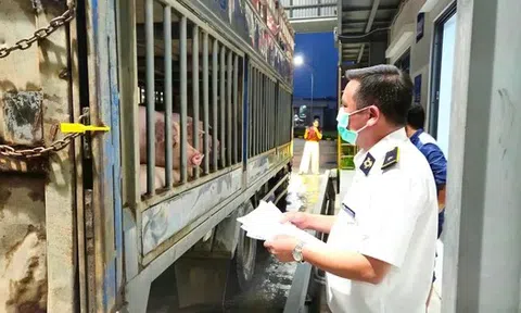 Hà Nội: Liên ngành đột xuất kiểm tra Công ty C.P trong đêm