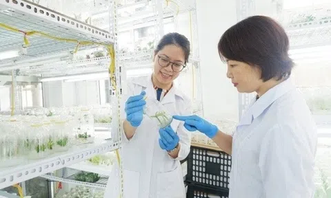Ngành học đóng vai trò then chốt, ‘nóng’ không kém y, dược nhưng đang bị ‘ngó lơ’: Ra trường lương tới 30 triệu/tháng, vẫn hiếm sinh viên