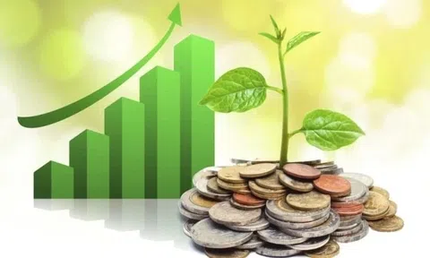 Lịch chốt quyền cổ tức 16/6-20/6: Cổ tức tiền mặt cao nhất 30%