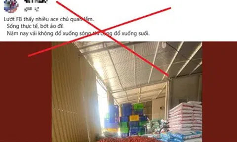 Xử phạt người tung tin vải thiều Bắc Giang ngâm hóa chất