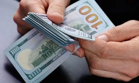 Tỷ giá trung tâm vượt 25.000 VND/USD sau quyết định của Fed