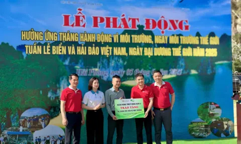 Cán bộ nhân viên SeABank chung tay làm sạch 11 bãi biển vì môi trường xanh
