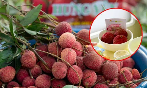 Vải trứng Hưng Yên được mang bán trên trời!